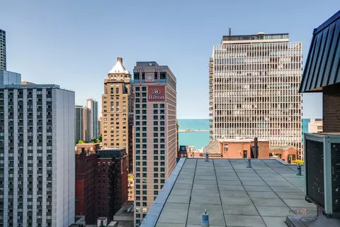 201 E Chestnut St #3C, Chicago, IL 60611 photo 22