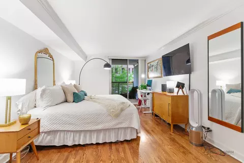 201 E Chestnut St #3C, Chicago, IL 60611 photo 18