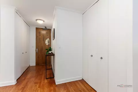 201 E Chestnut St #3C, Chicago, IL 60611 photo 6