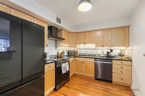 201 E Chestnut St #3C, Chicago, IL 60611 photo 17