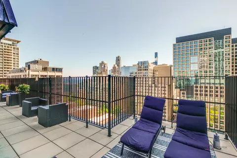 201 E Chestnut St #3C, Chicago, IL 60611 photo 28