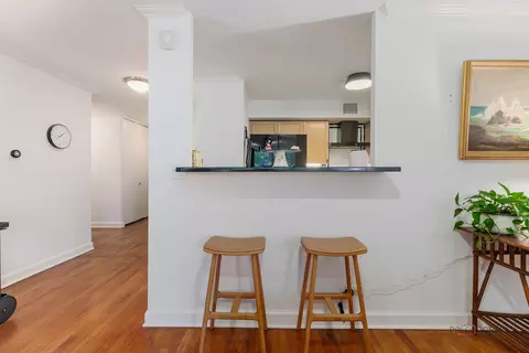 201 E Chestnut St #3C, Chicago, IL 60611 photo 15