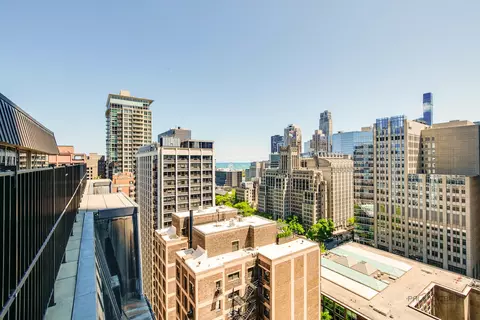 201 E Chestnut St #3C, Chicago, IL 60611 photo 23