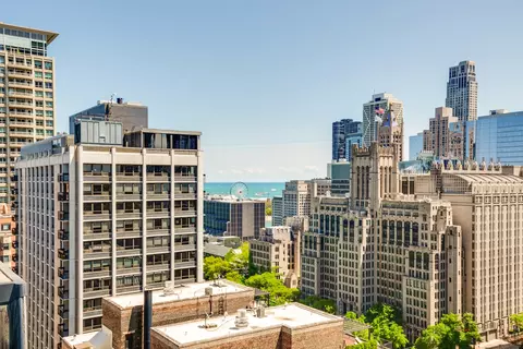 201 E Chestnut St #3C, Chicago, IL 60611 photo 21