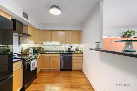 201 E Chestnut St #3C, Chicago, IL 60611 photo 16