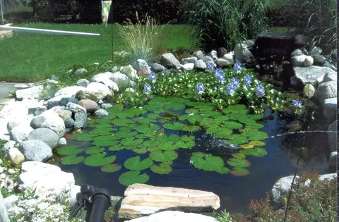 9258 Clancy Dr, Des Plaines, IL 60016 photo 30
