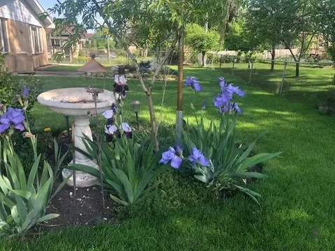 9258 Clancy Dr, Des Plaines, IL 60016 photo 26