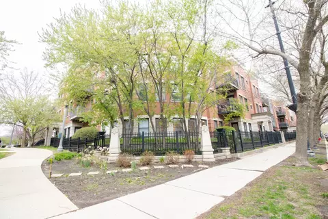 1500 S Halsted St #1B, Chicago, IL 60607
