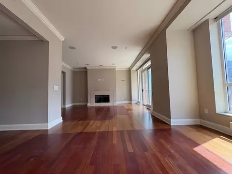 270 E Pearson St #602, Chicago, IL 60611 photo 6