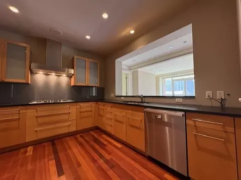 270 E Pearson St #602, Chicago, IL 60611 photo 3
