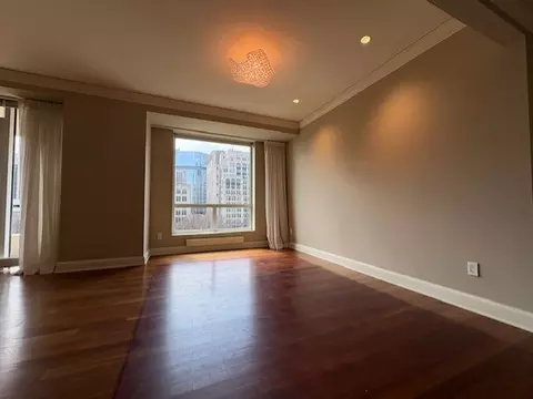 270 E Pearson St #602, Chicago, IL 60611 photo 8