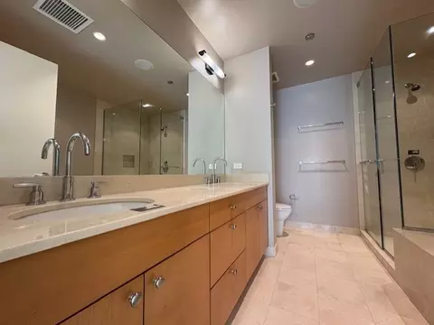 270 E Pearson St #602, Chicago, IL 60611 photo 12