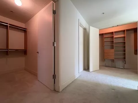 270 E Pearson St #602, Chicago, IL 60611 photo 11