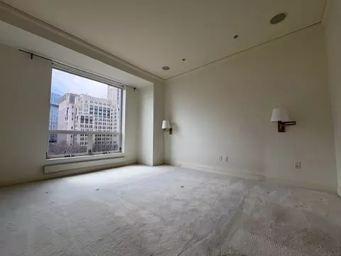 270 E Pearson St #602, Chicago, IL 60611 photo 10