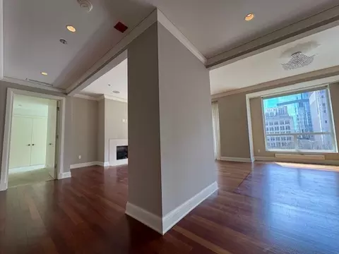 270 E Pearson St #602, Chicago, IL 60611 photo 5