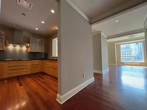 270 E Pearson St #602, Chicago, IL 60611 photo 2