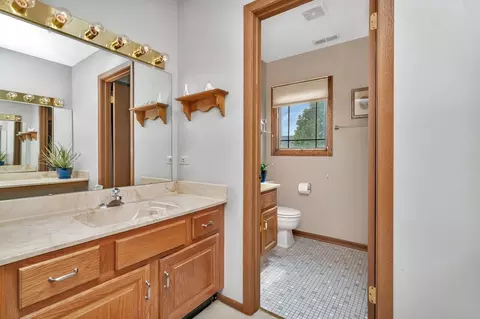 Bath - 910 N Dovington Dr, Hoffman Estates, IL 60169 photo 2 of 4
