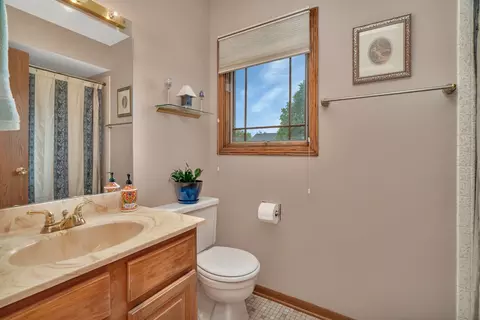 Bath - 910 N Dovington Dr, Hoffman Estates, IL 60169 photo 3 of 4