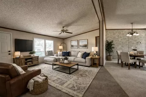 Living - 1008 Bloomington St, Dewitt, IL 61735 photo 1 of 1