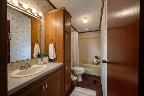 Bath - 1008 Bloomington St, Dewitt, IL 61735 photo 2 of 2