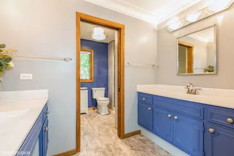 Bath - 69 Graymoor Ln, Olympia Fields, IL 60461 photo 1 of 4