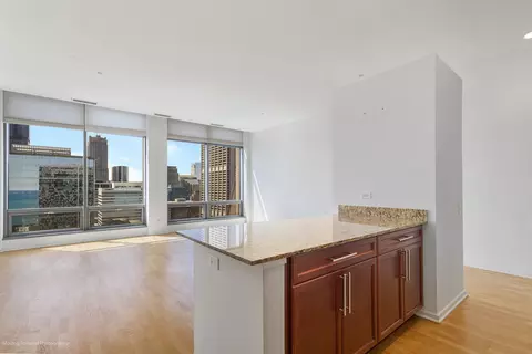 65 E Monroe St #4208, Chicago, IL 60603 photo 11
