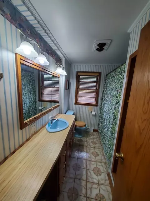 Bath - 3771 Emerald Ave, Steger, IL 60475 photo 1 of 2