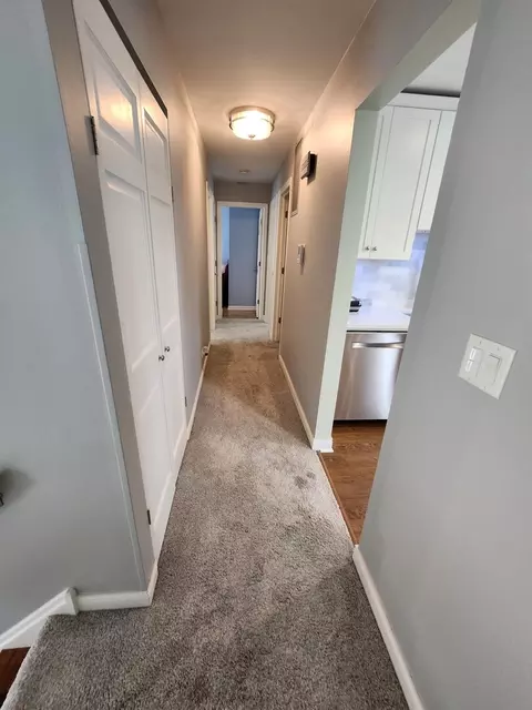 Entry Way - 271 E Cleburne Ave, Bartlett, IL 60103 photo 2 of 3