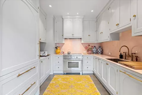 Other - 159 E Walton Pl #8C, Chicago, IL 60611 photo 6 of 20