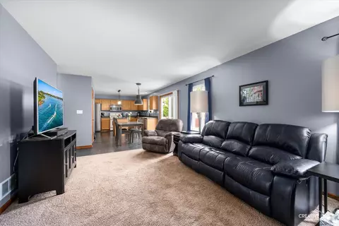 Other - 1057 Wright Ct, Plano, IL 60545 photo 3 of 10