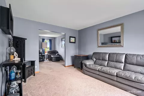 Other - 1057 Wright Ct, Plano, IL 60545 photo 4 of 10
