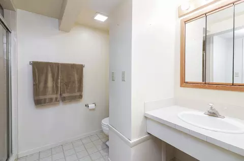 1319 E Harrison Ave, Wheaton, IL 60187 photo 21