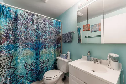 Bath - 5550 Astor Ln #123, Rolling Meadows, IL 60008 photo 1 of 1
