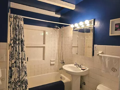 213 W Park Ave, Wheaton, IL 60189 photo 12