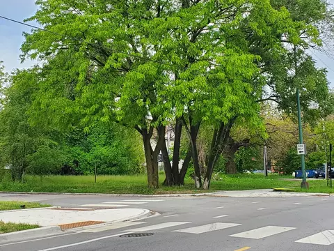 7100 S Princeton Ave, Chicago, IL 60621
