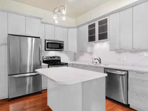 63 E Cedar St #1AB, Chicago, IL 60611 photo 11