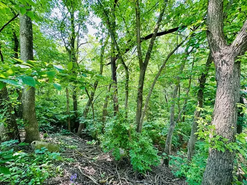 309 Peru St, Peru, IL 61354 photo 3