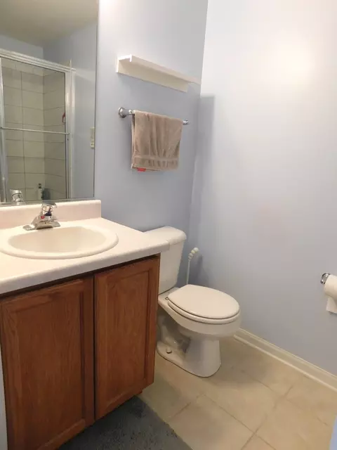 Bath - 551 Goodwin Dr, Bolingbrook, IL 60440 photo 2 of 2