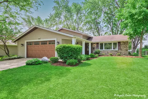 909 Aimtree Pl, Schaumburg, IL 60194