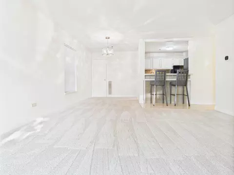 3255 Kirchoff Rd #109, Rolling Meadows, IL 60008 photo 13