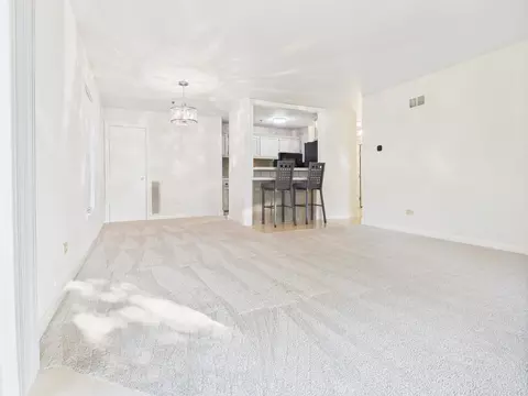 3255 Kirchoff Rd #109, Rolling Meadows, IL 60008 photo 12