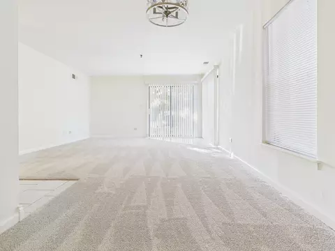3255 Kirchoff Rd #109, Rolling Meadows, IL 60008 photo 8