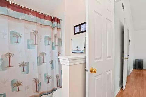 Bath - 1239 Spring Creek Rd, Elgin, IL 60120 photo 3 of 4