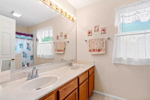 Bath - 1239 Spring Creek Rd, Elgin, IL 60120 photo 2 of 4