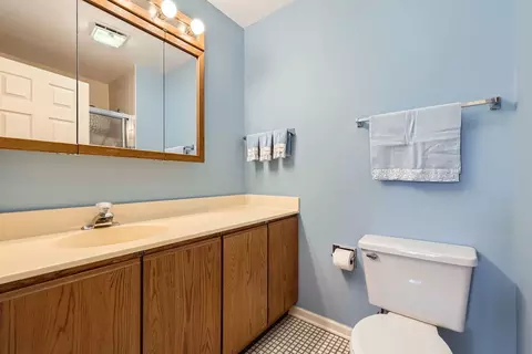 1232 Sumac Trl, Hoffman Estates, IL 60192 photo 13