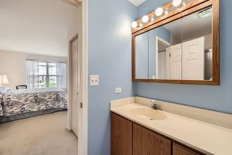 1232 Sumac Trl, Hoffman Estates, IL 60192 photo 14