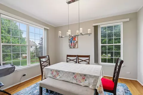 263 Thrush Cir, Lindenhurst, IL 60046 photo 9