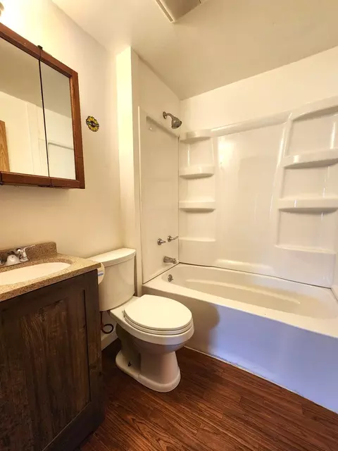 Bath - 1198 E Bluff St, Marseilles, IL 61341 photo 1 of 1