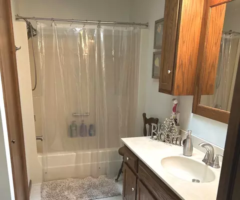 Bath - 355 Twilight Dr, Morris, IL 60450 photo 2 of 3