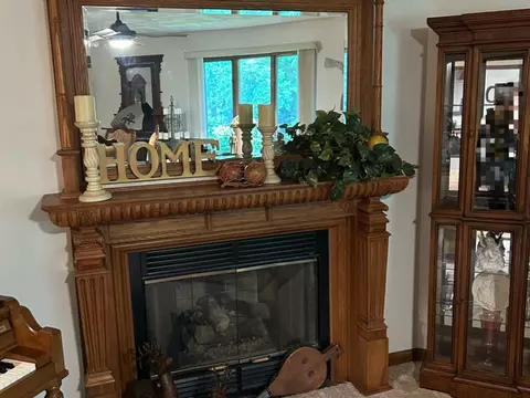 Living - 355 Twilight Dr, Morris, IL 60450 photo 3 of 5